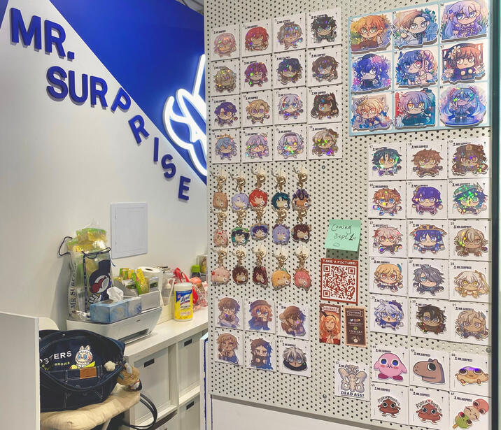 Mr. Surprise The Well Cosignment